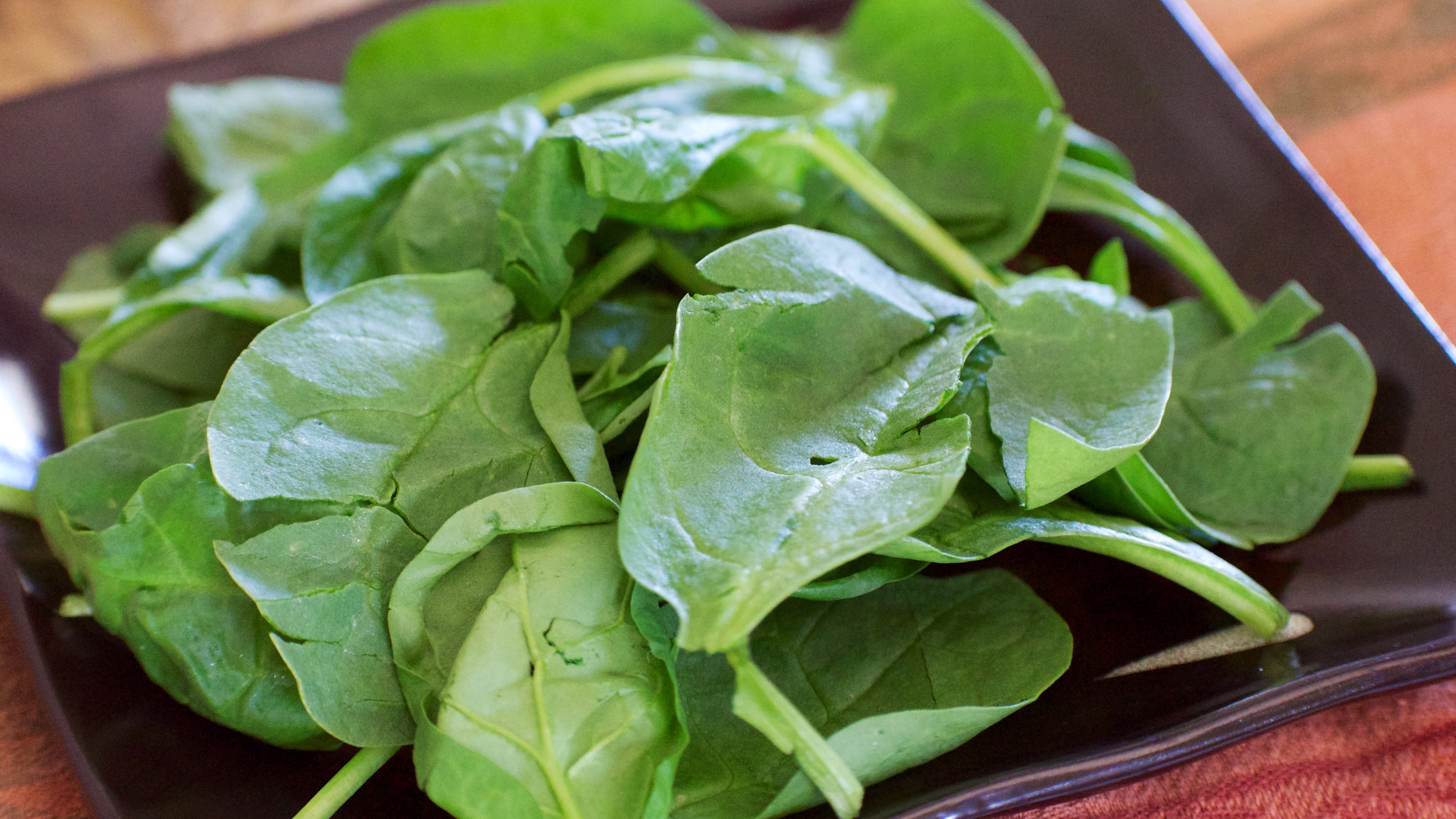 Plate of plain baby spinach bunch.
